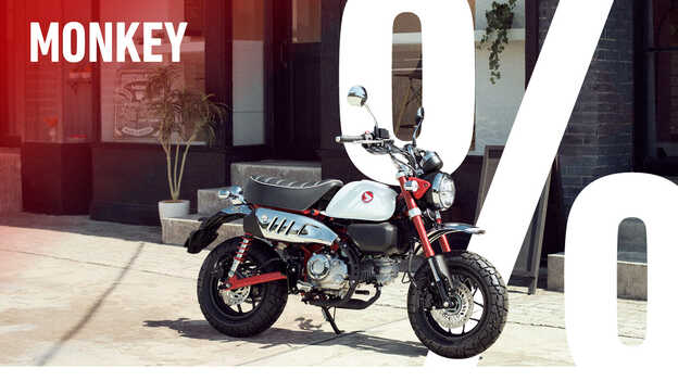 ANGEBOT | MONKEY